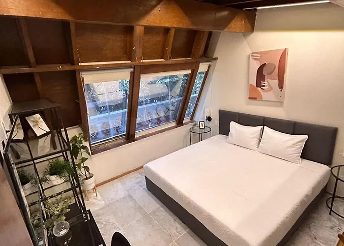 Singular Reforma 3*