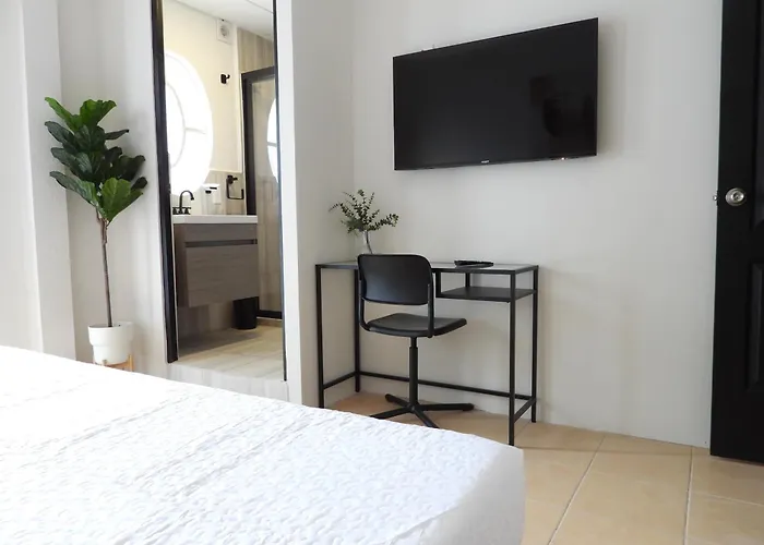 Hotel Singular Reforma 3*