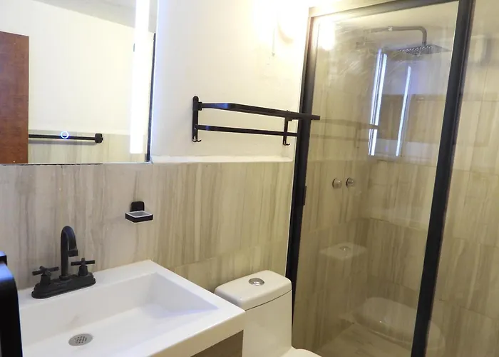 Hotel Singular Reforma 3*