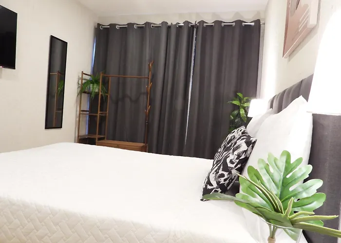 Singular Reforma 3*
