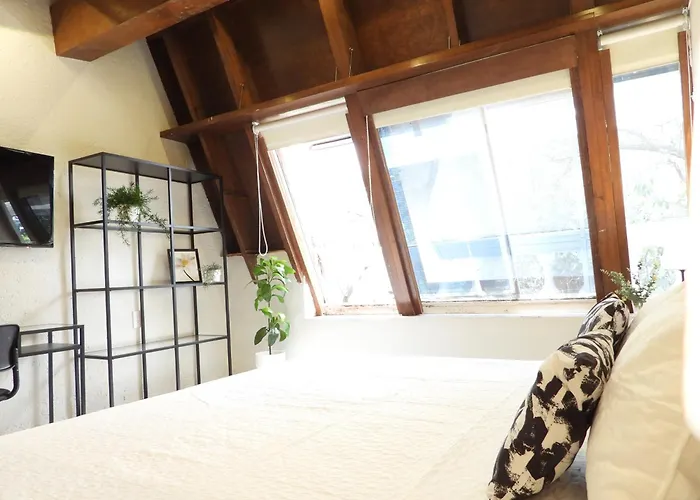 Hotel Singular Reforma 3*