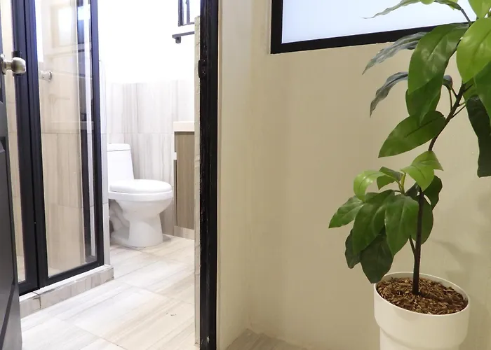Singular Reforma Hotel