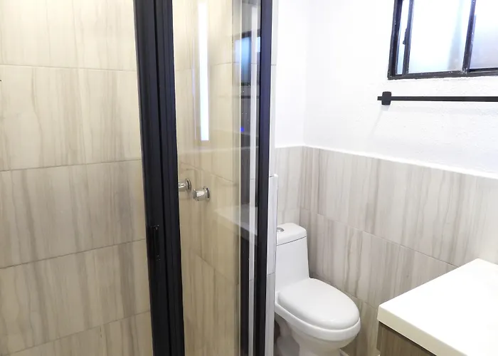 Singular Reforma 3*