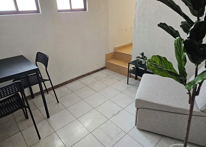 Singular Reforma 3*